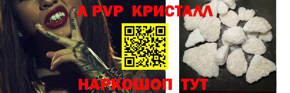 A PVP СК Майкоп