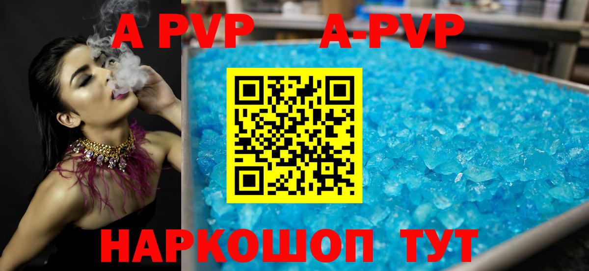 Альфа ПВП Майкоп