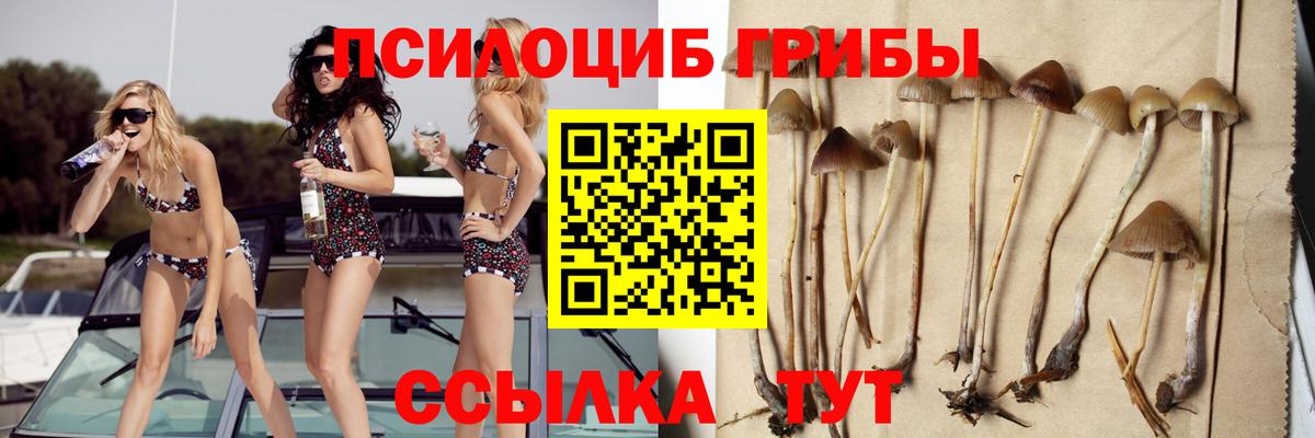 Галлюциногенные грибы GOLDEN TEACHER Майкоп